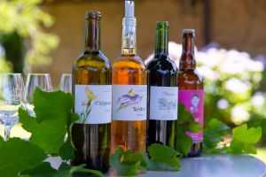 Vignoble Lou Gaillot